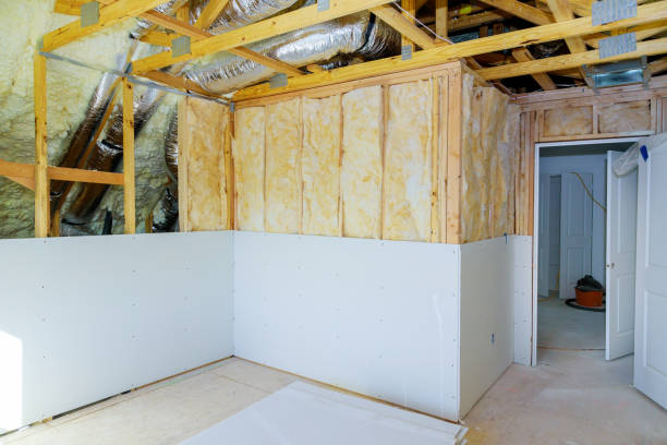 Best Insulation Installation Services in Big Le, AK