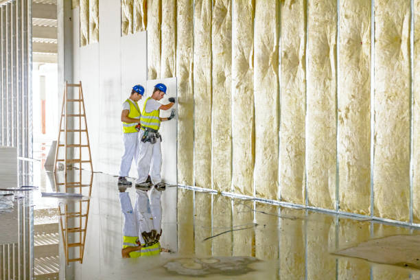 Best Commercial Insulation in Big Le, AK